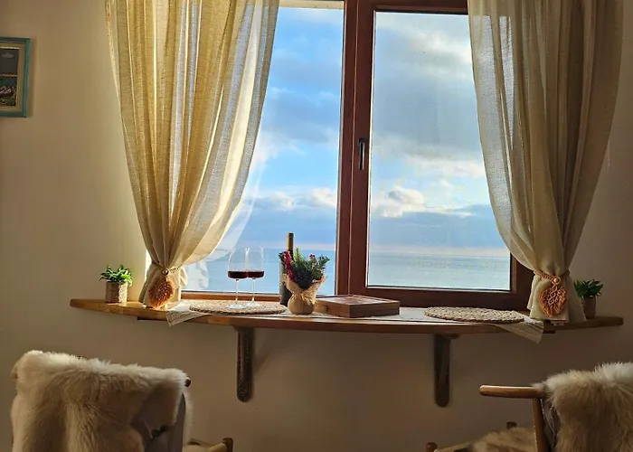 Cotty, Complex Carpe Diem