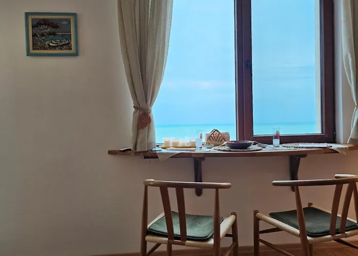 Cotty, Complex Carpe Diem * بالشيك